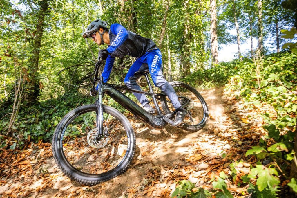 E-Mountainbike-Fahrer mit Rad im Gelände