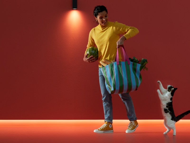 Frau mit Einkaufstasche vor roter Wand auf rotem Boden und Katze daneben