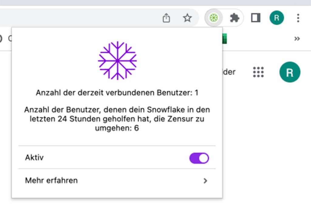 Screenshot vom Browser-Add-On Snowflake.