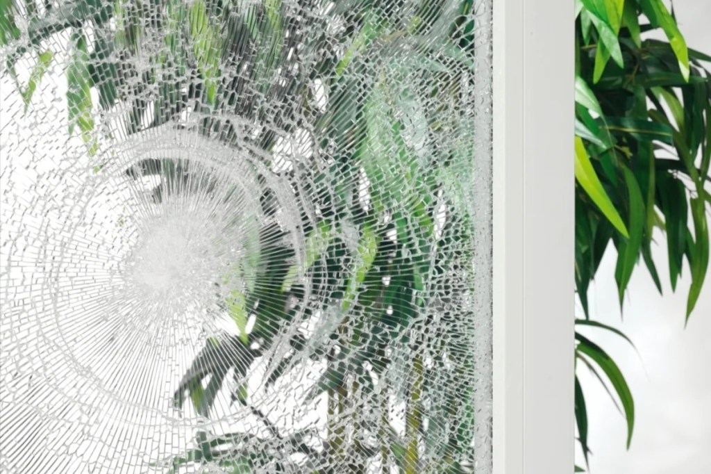 Glasterrassentür aufgeklappt vor Pflanze Detail Mitte Aufnahmen von zersprungenem Glas
