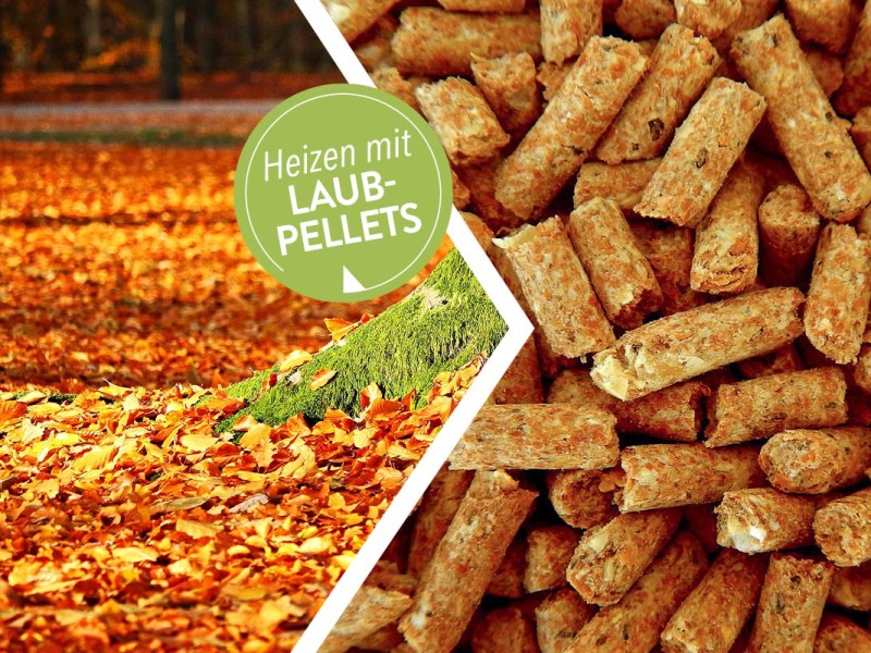 Ein zweigeteiltes Bild mit Laub und Laub-Pellets abgebildet