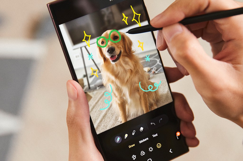 Hand, die ein Smartphone hält, das ein Bild des Hundes zeigt und mit einem Stift auf dem Bildschirm zeichnet