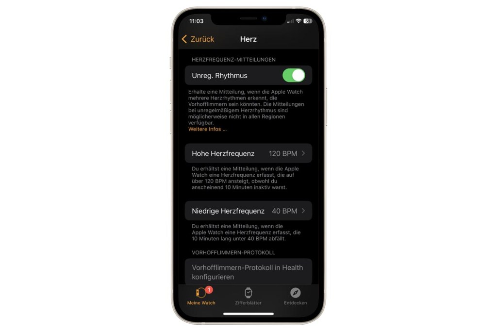 Pulsalarm Apple Watch einrichten