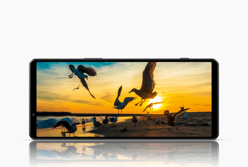 Horizontal aufgestelltes Smartphone zeigt Möwen im Sonnenuntergang