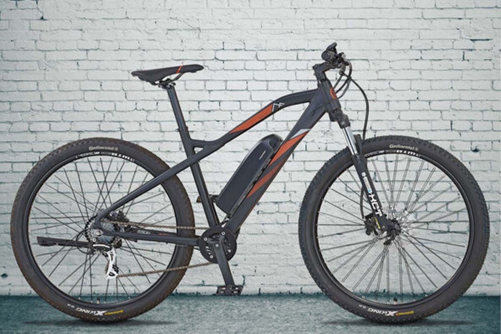 E-Mountainbike Graveler von Prophete vor einer Mauer stehend