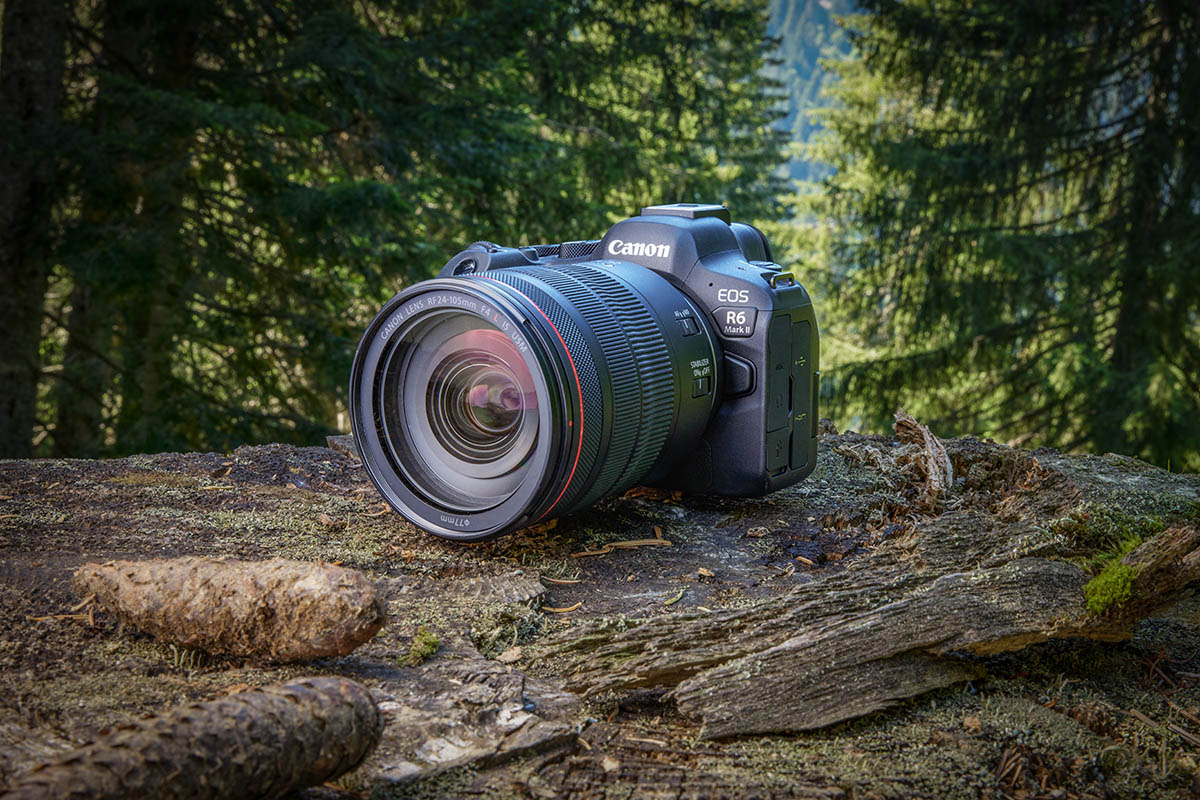 Canon EOS R6 Mark II inmitten eines Waldes auf einem Stein platziert
