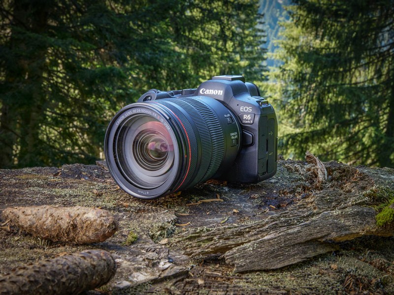 Canon EOS R6 Mark II: Schnelle  Vollformatkamera