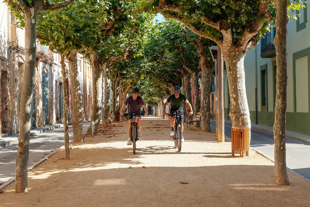 Zwei Fahrradfahrer fahren durch eine Allee