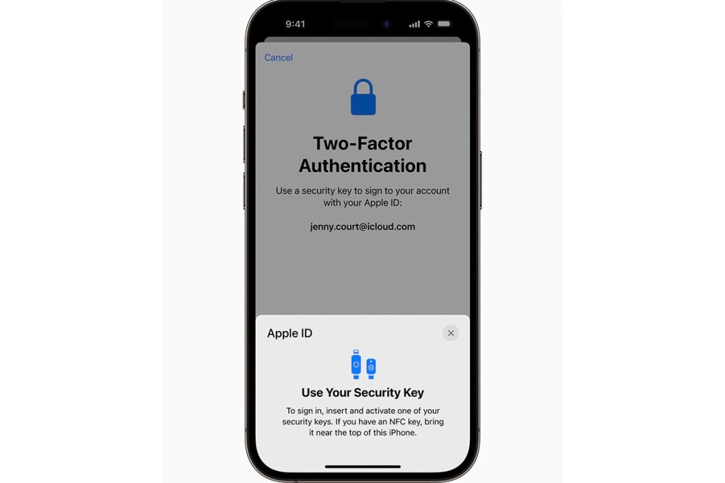 Screenshot Apple Security Keys