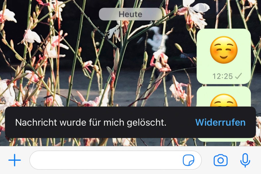 Screenshot von WhatsApp mit der neuen Widerrufs-Funktion.