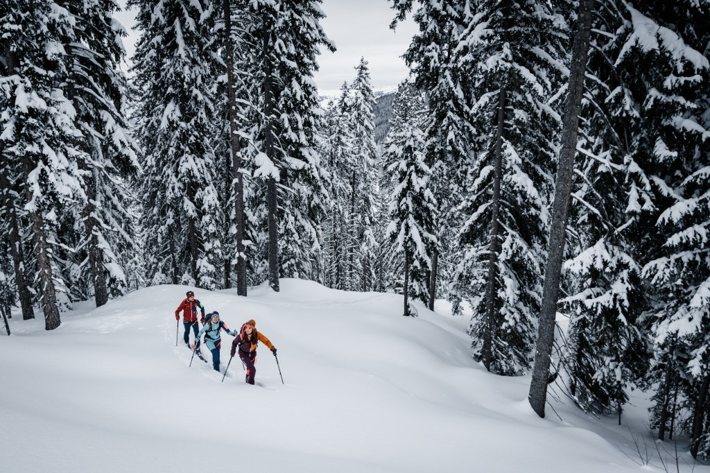 Skifahrer in Winterlandschaft