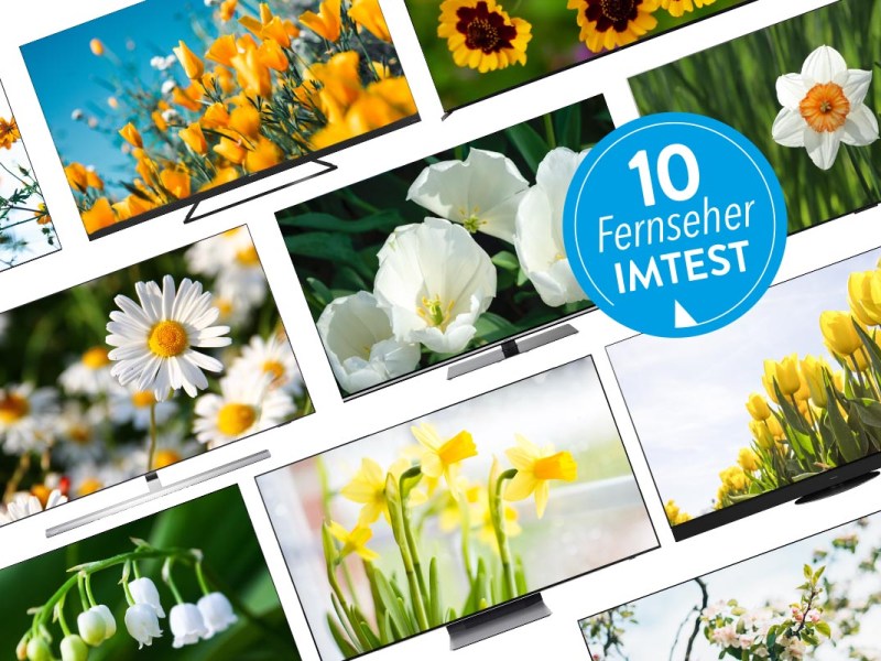 Zehn 65 Zoll Fernseher mit Hintergründen zum Thema Frühling