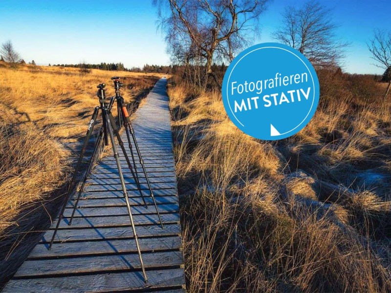 Stative in der Natur auf Holzplanken stehend
