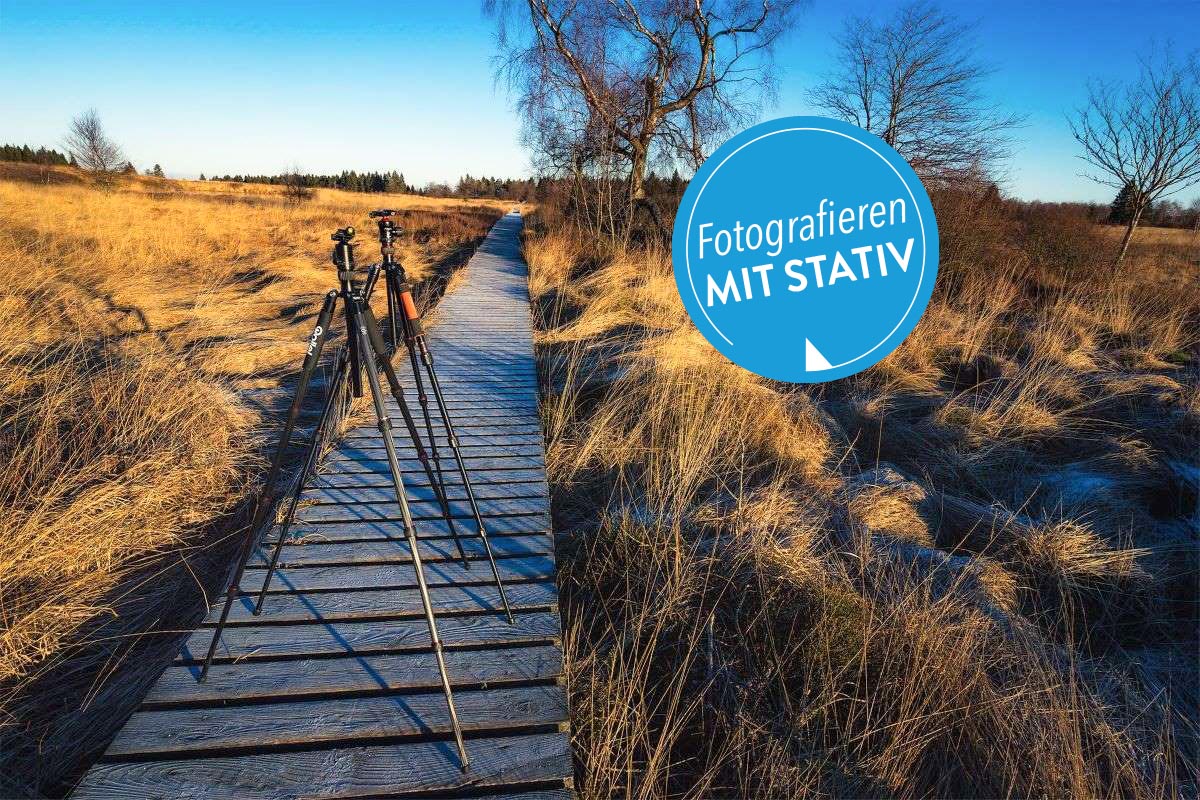 Stative in der Natur auf Holzplanken stehend