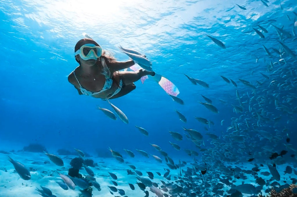 Frau in weißem Bikini taucht in türkisem Wasser mit Fischschwarm