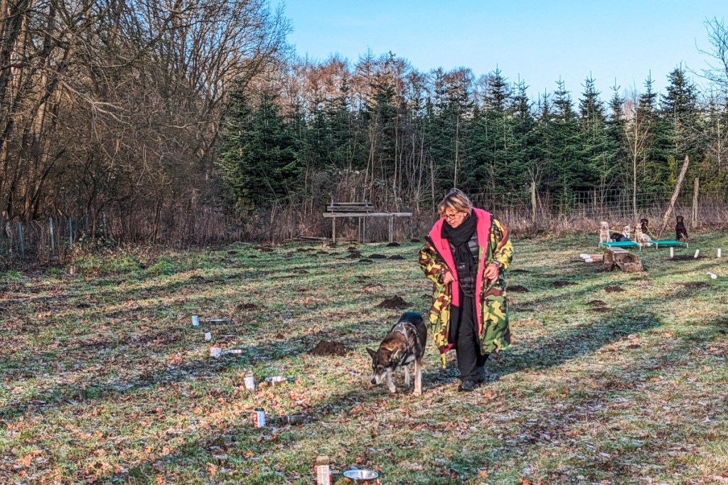 Frau mit Hund auf Wiese