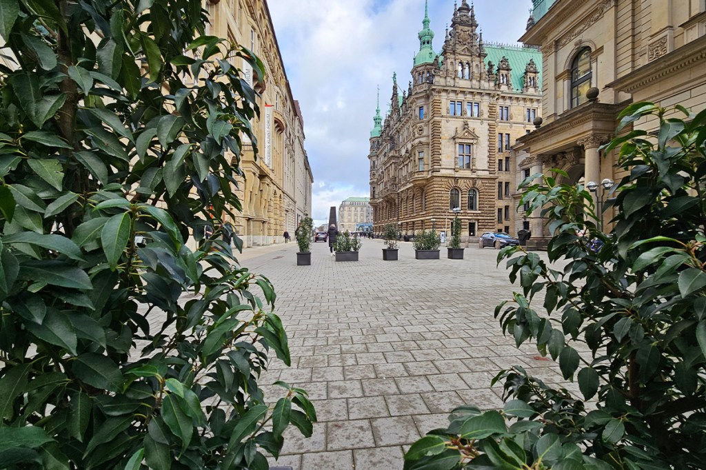 Links und rechts sind Pflanzen zu sehen, hinten das Hamburger Rathaus.