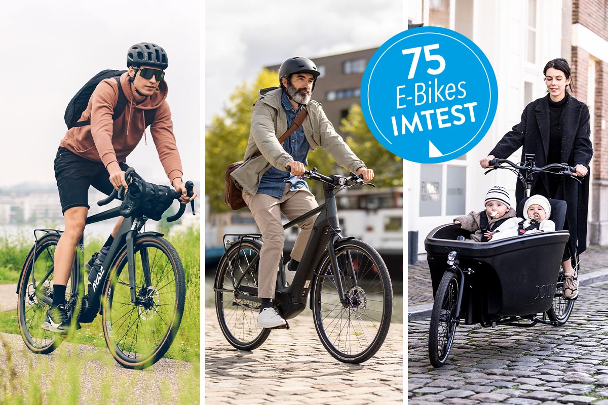 Ein dreigeteiltes Bild mit E-Bikes unterschiedlicher Radklassen