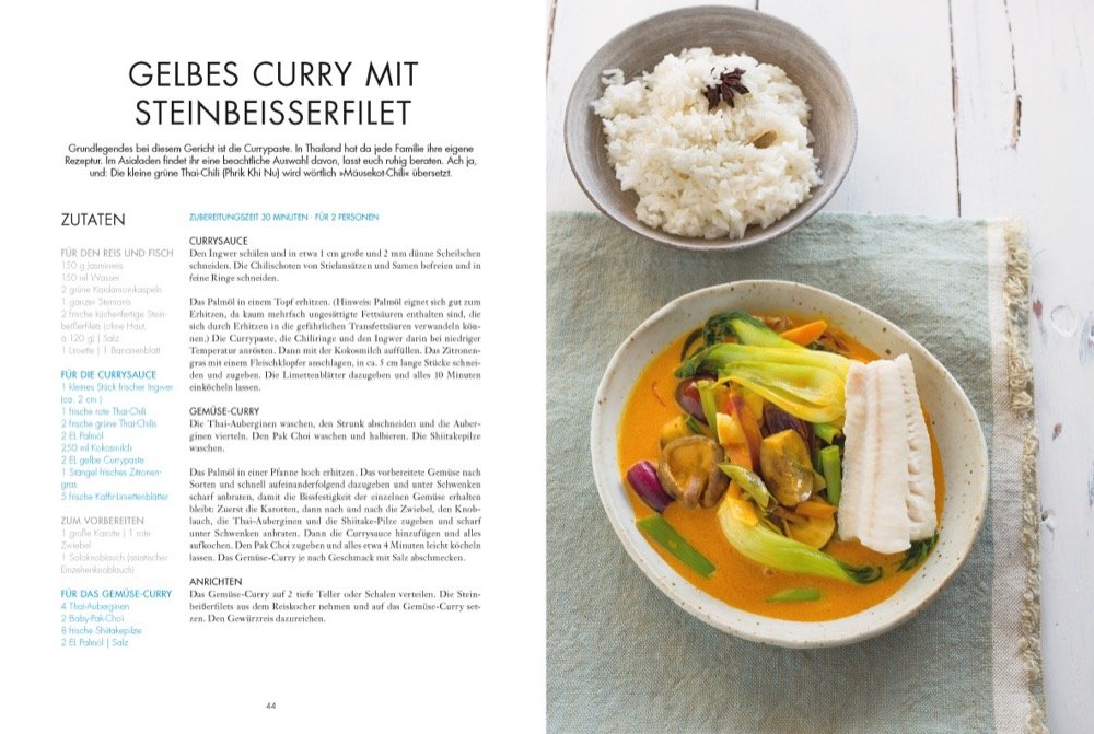 Doppelseite aus Rezeptbuch mit links Bild von Curry und rechts Beschreibung
