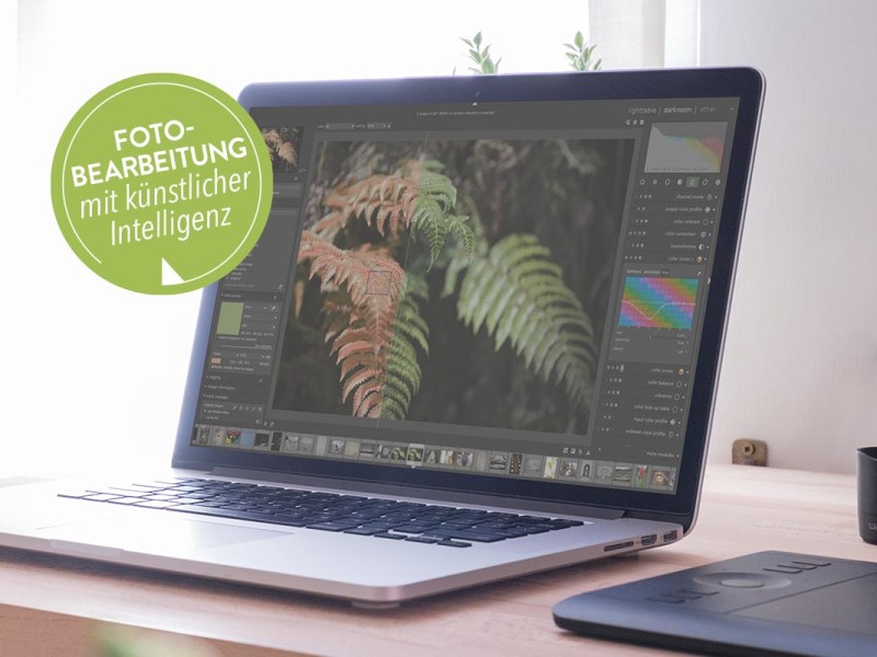 Fotobearbeitung mit künstlicher Intelligenz: Die 10 besten KI-Fototools