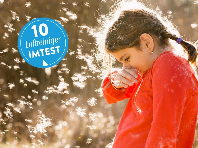 Gegen Allergien und schlechte Gerüche: 10 Luftreiniger im Test
