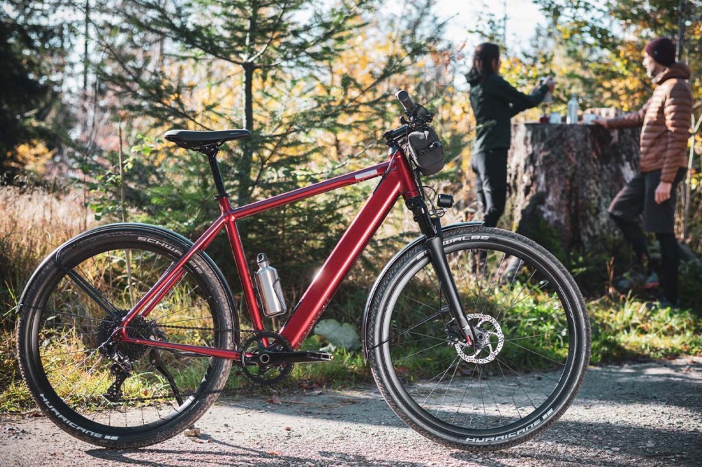 E-Bike Iseo von Coboc im Wald stehend