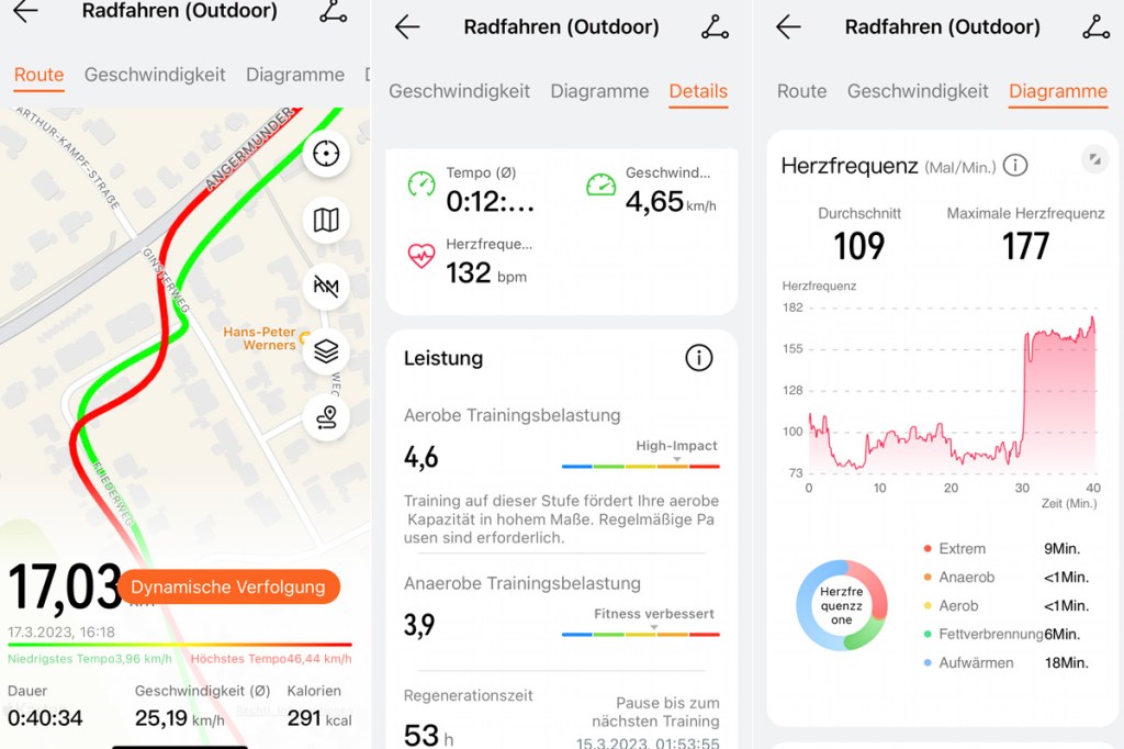 Auswertung Huawei Health