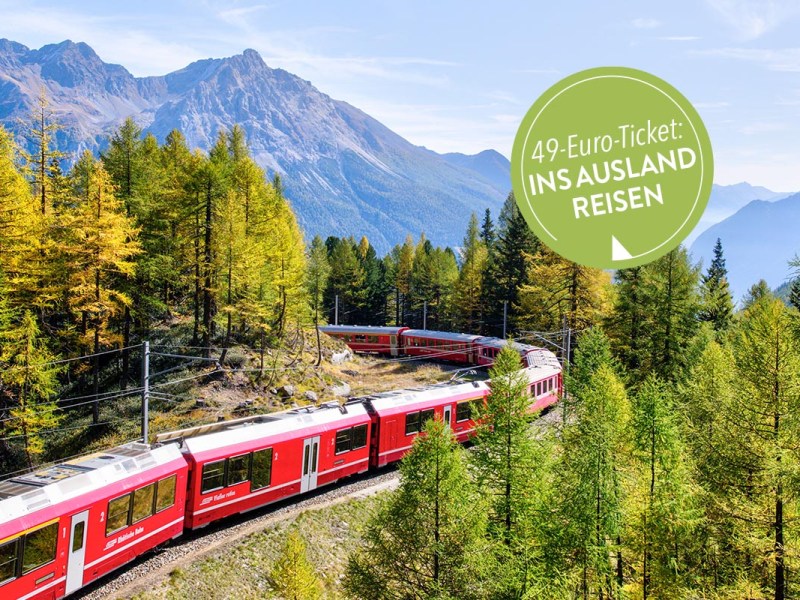Ein Zug fährt durch einen Wald. Im Hintergrund befinden sich Berge.
