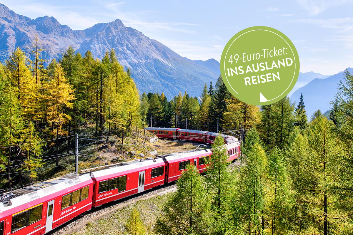 Ein Zug fährt durch einen Wald. Im Hintergrund befinden sich Berge.