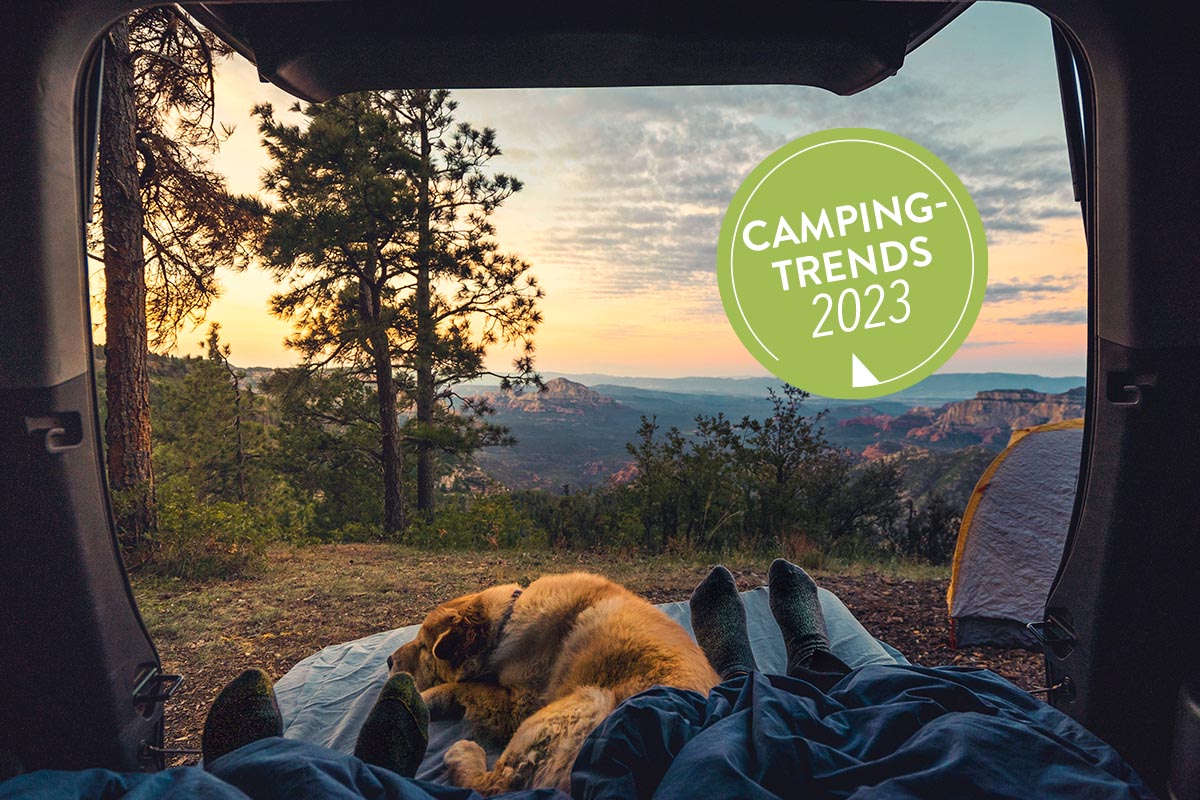 Zwei Menschen und ein Hund in einem Camper