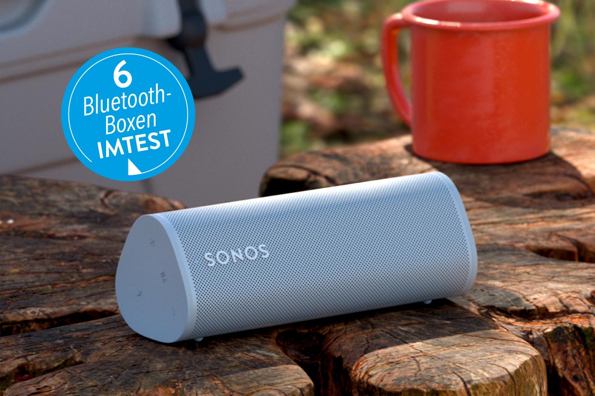 Bluetooth-Box von Sonos auf einem Baumstamm unter freiem Himmel.