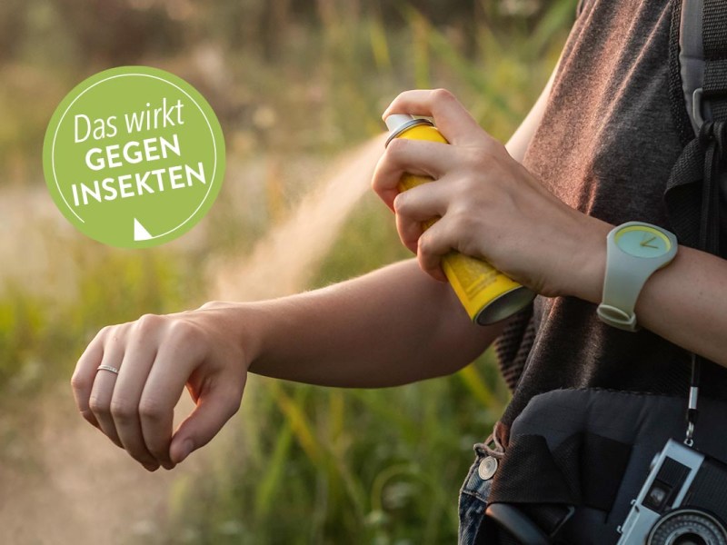 Mückenschutz beim Camping: Diese 5 Produkte helfen wirklich