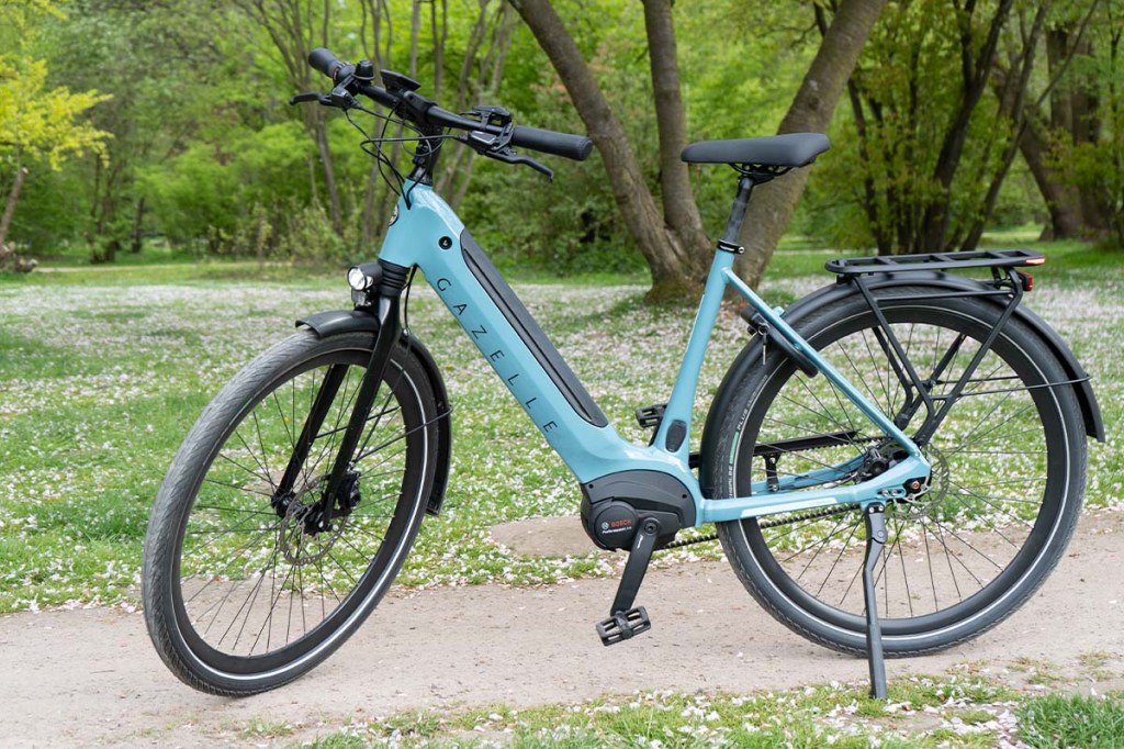 E-Bike steht in einem Park