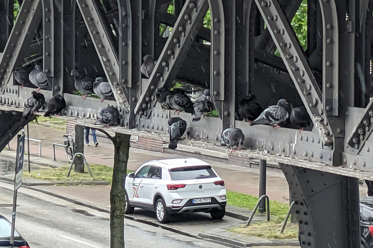 Tauben sitzen auf einer Brücke.