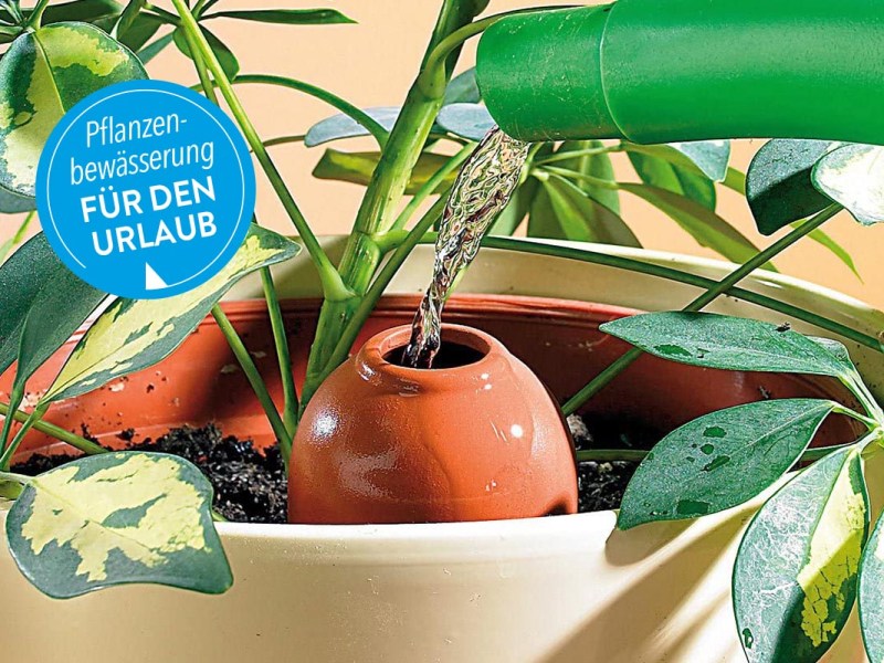 Bewässerungssysteme für den Balkon: So überleben Ihre Pflanzen den Urlaub