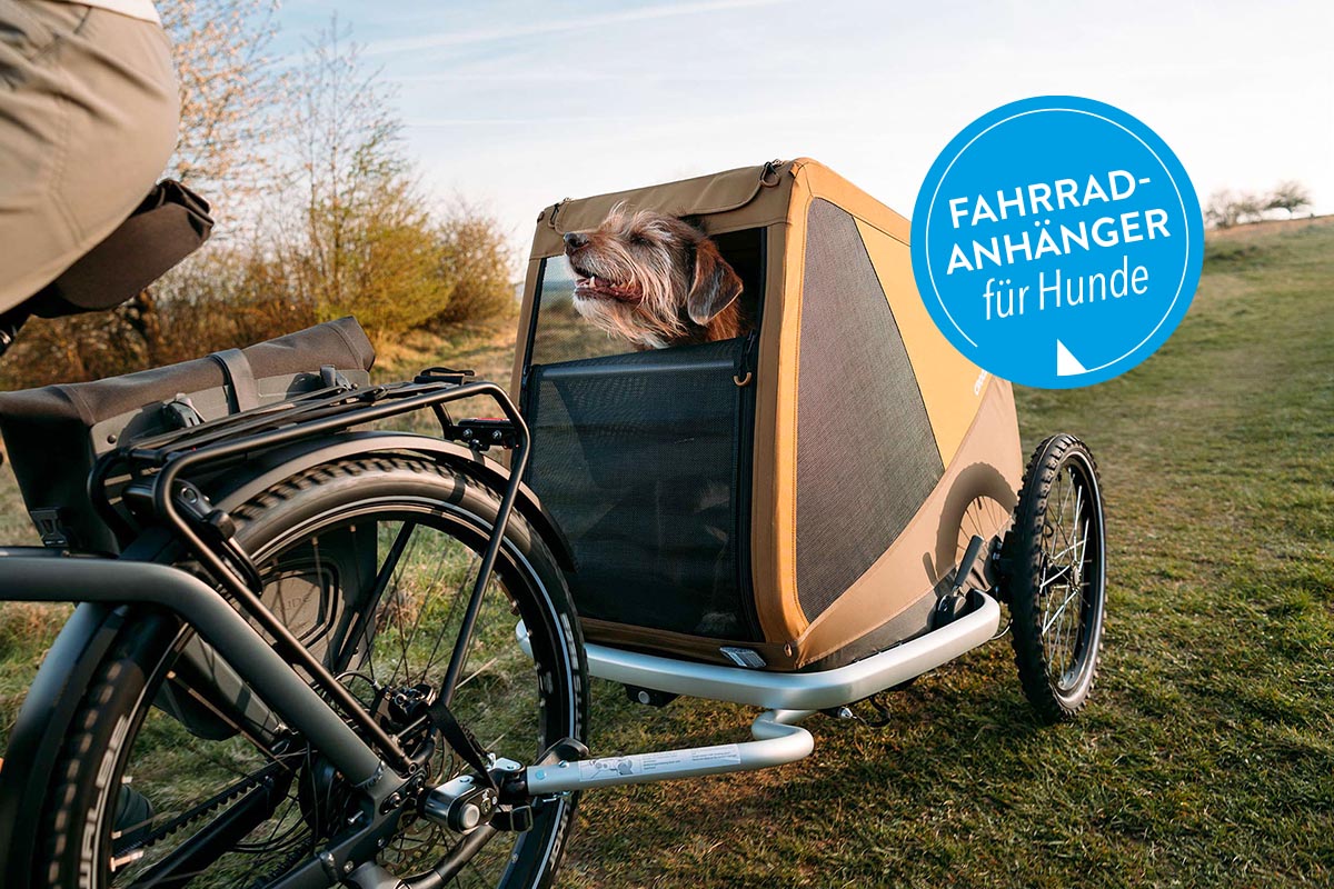 Hund in einem Fahrrad-Anhänger auf einer Wiese.