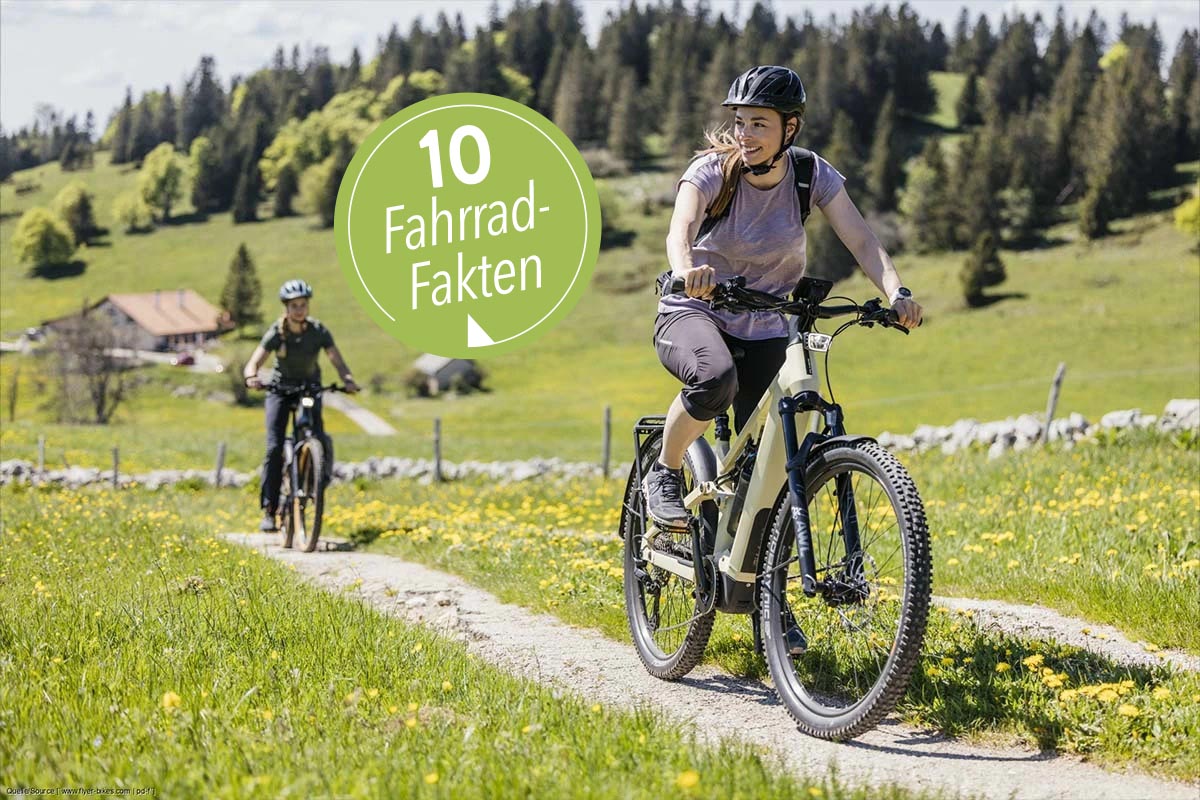 Zwei E-Bike-Fahrer fahren durch die Natur