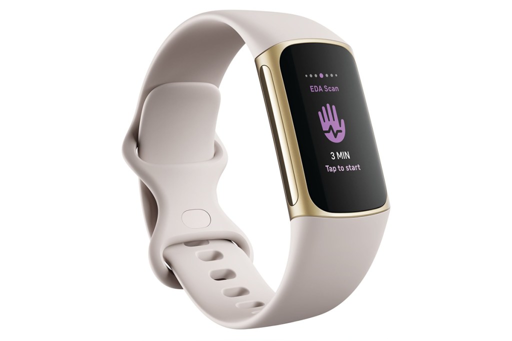 Die Fitbit Charge 5.