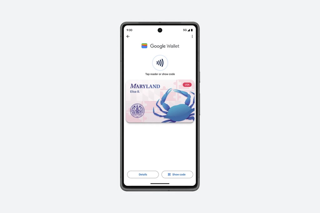 Smartphone mit Führerschein in der Google Wallet.