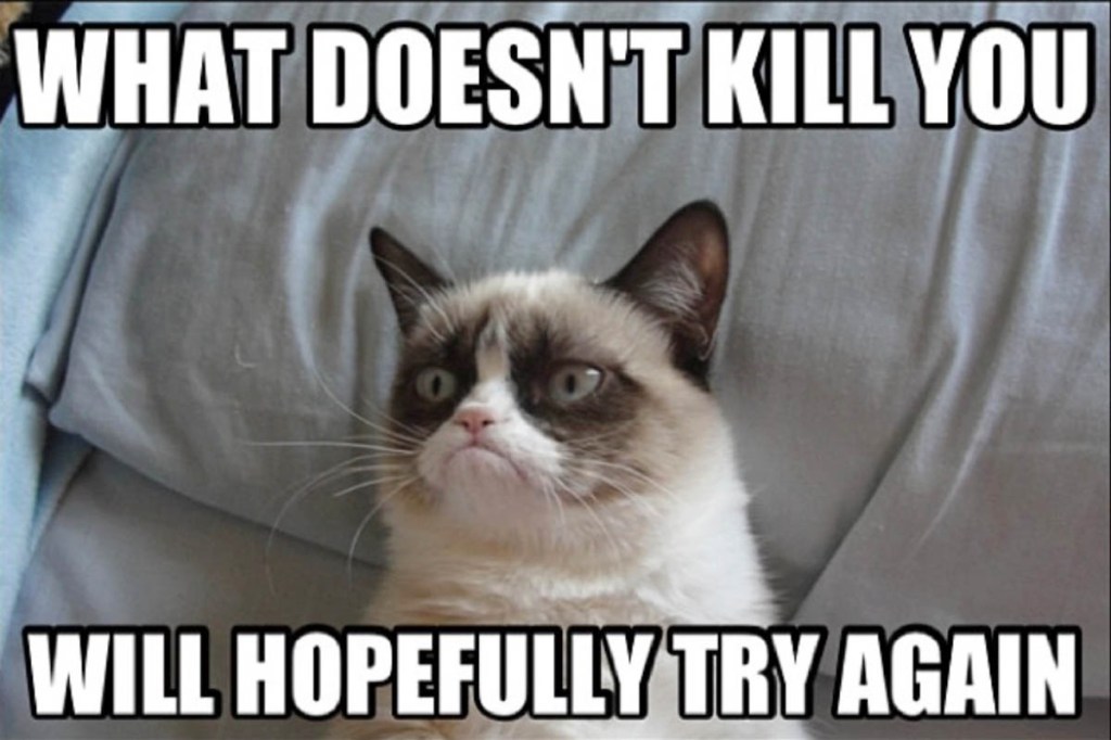Grumpy Cat: "What does not kill you... will hopefully try again."