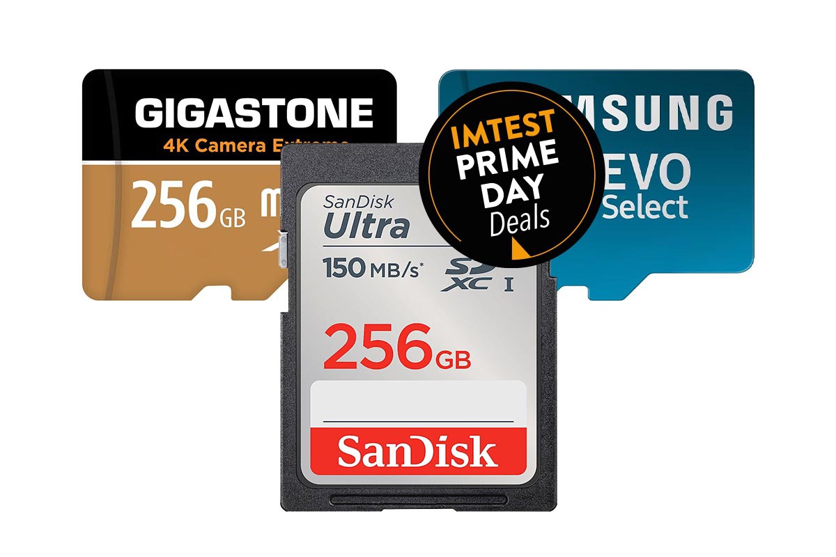 SD-Karten von Gigastone, Samsung und Sandisk vor weißem