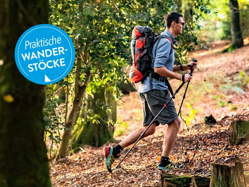 Mann mit Wanderstöcken im Wald spazierend.