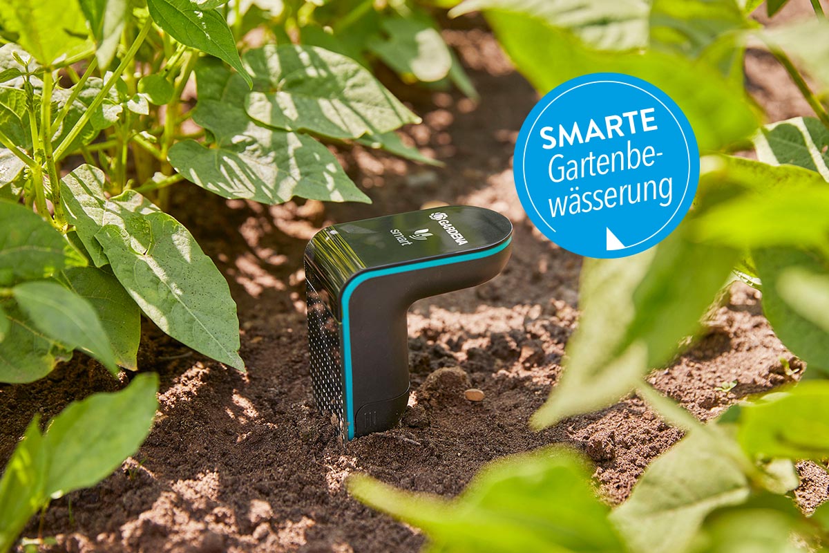 Smartes Bewässerungssystem von Gardena in Erdboden.