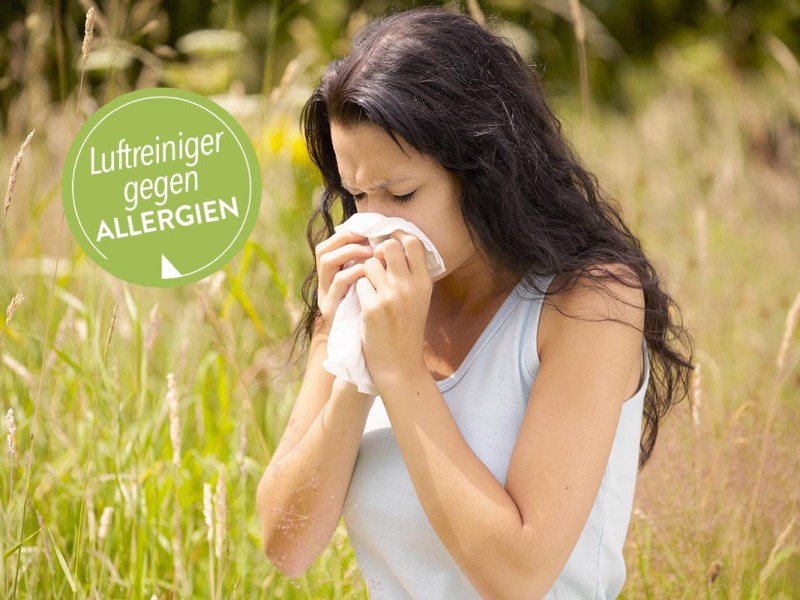 Luftreiniger gegen Pollen-Allergie: Experten-Tipps, Infos