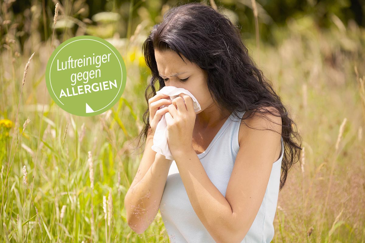 Luftreiniger gegen Pollen-Allergie: Experten-Tipps, Infos