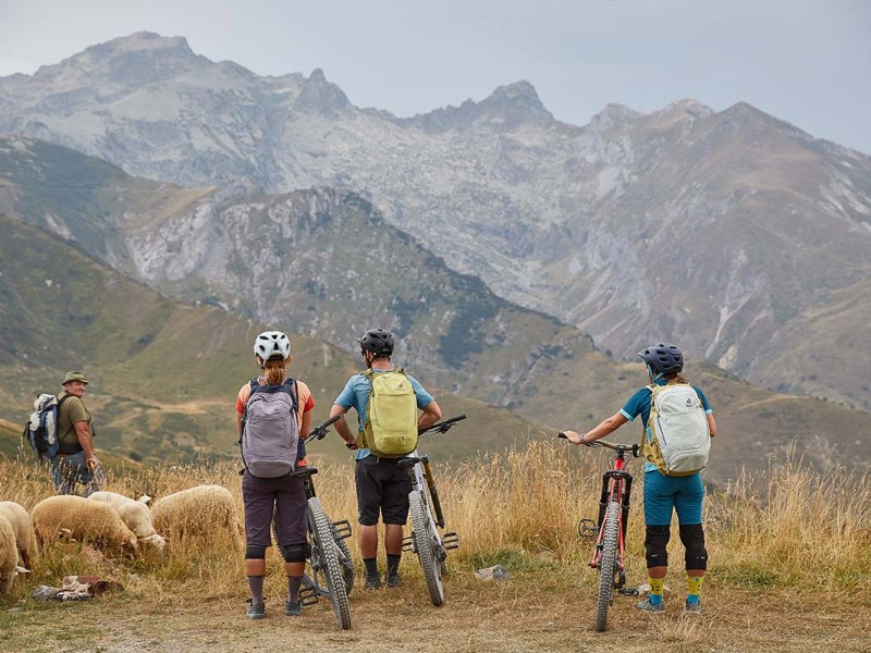Drei Menschen stehen neben ihren Fahrrädern, man sieht sie von hinten, sie Blicken auf eine Schafherde, im HIntergrund Natur und Berge