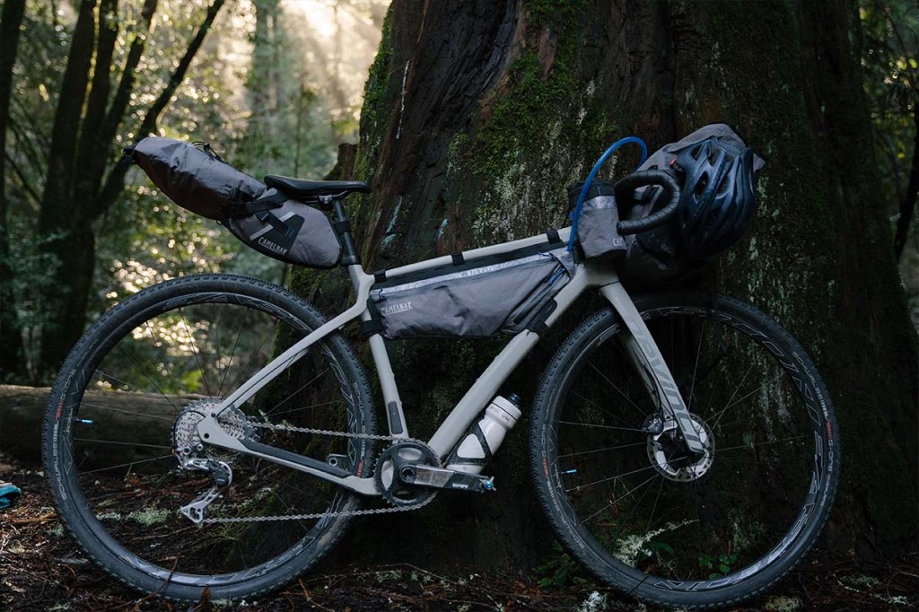 Fahrrad mit vielen Gepäcktaschen versehen an einem Baum lehnend