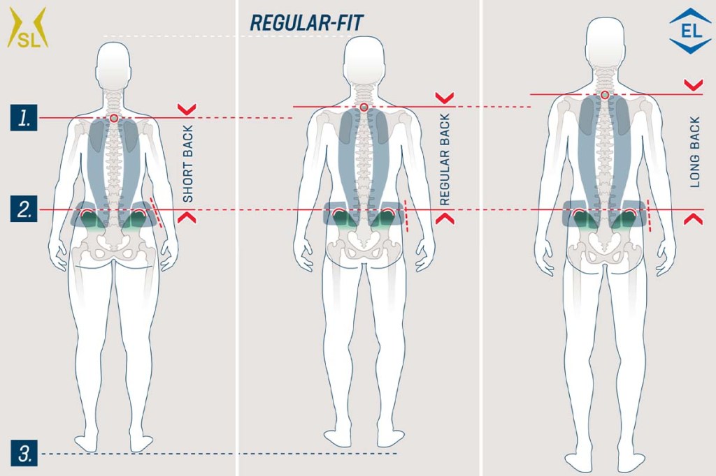 Grafik, zeigt drei Menschen mit unterschiedlicher Anatomie bzwg. Rückenlänge