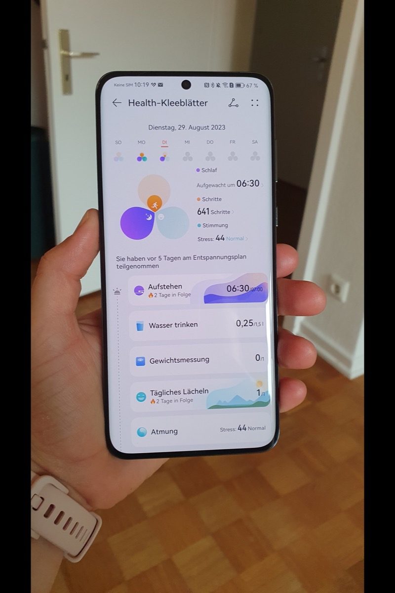 Eine Anzeige in der Huawei Health App.