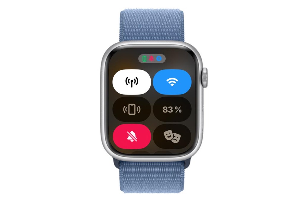 Apple Watch Kontrollzentrum